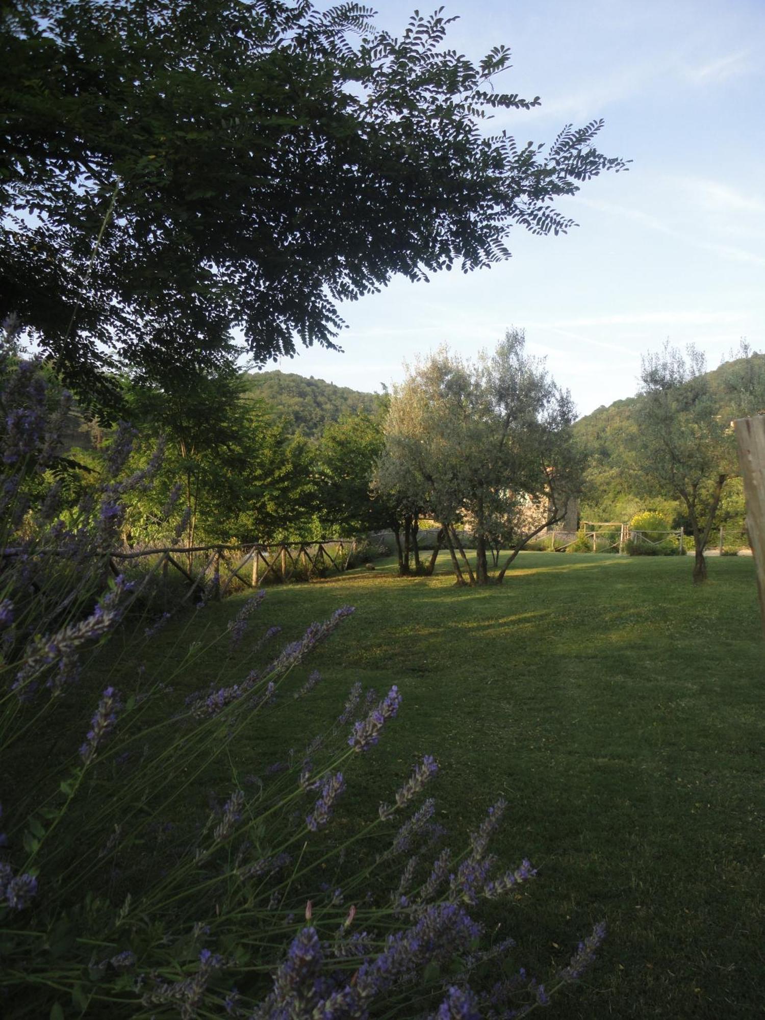 Il Capriolo Villa San Cerbone Exterior foto