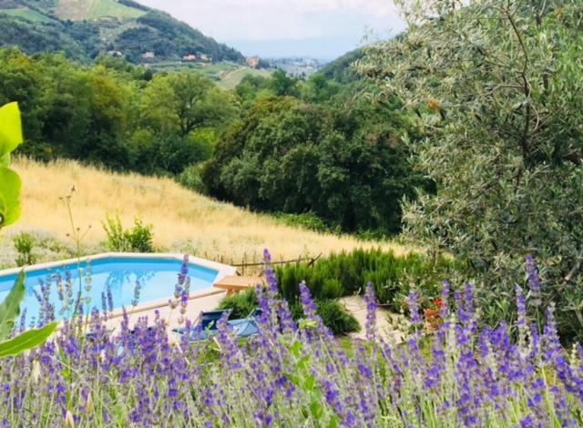 Il Capriolo Villa San Cerbone Exterior foto