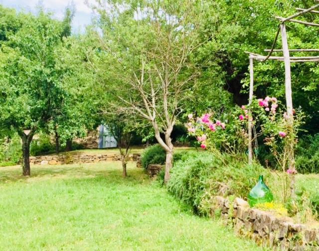 Il Capriolo Villa San Cerbone Exterior foto