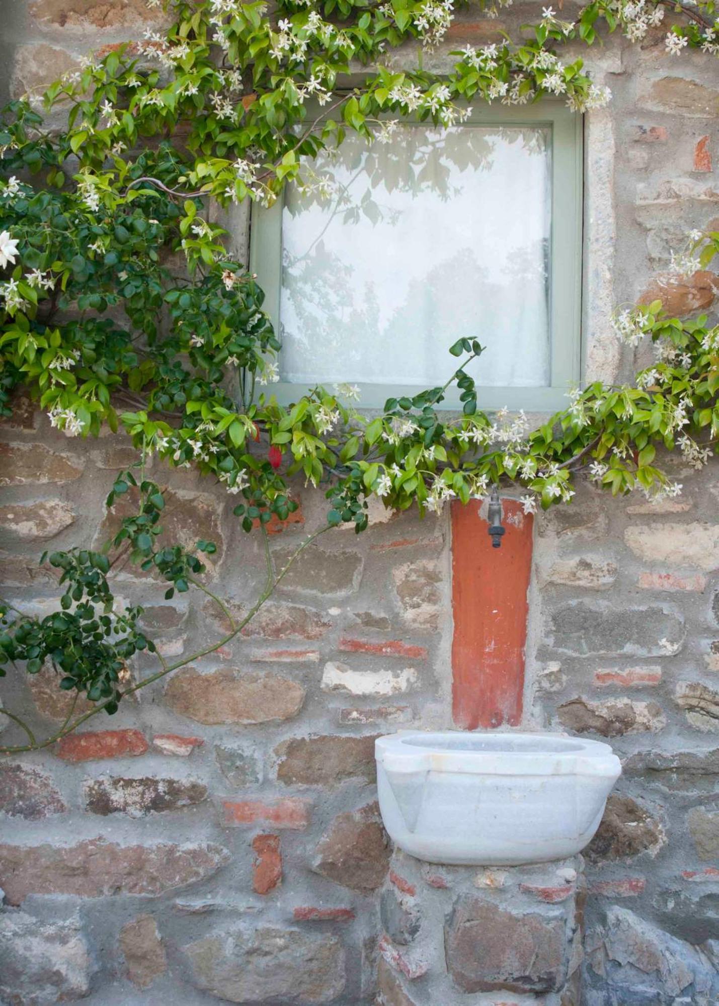 Il Capriolo Villa San Cerbone Exterior foto