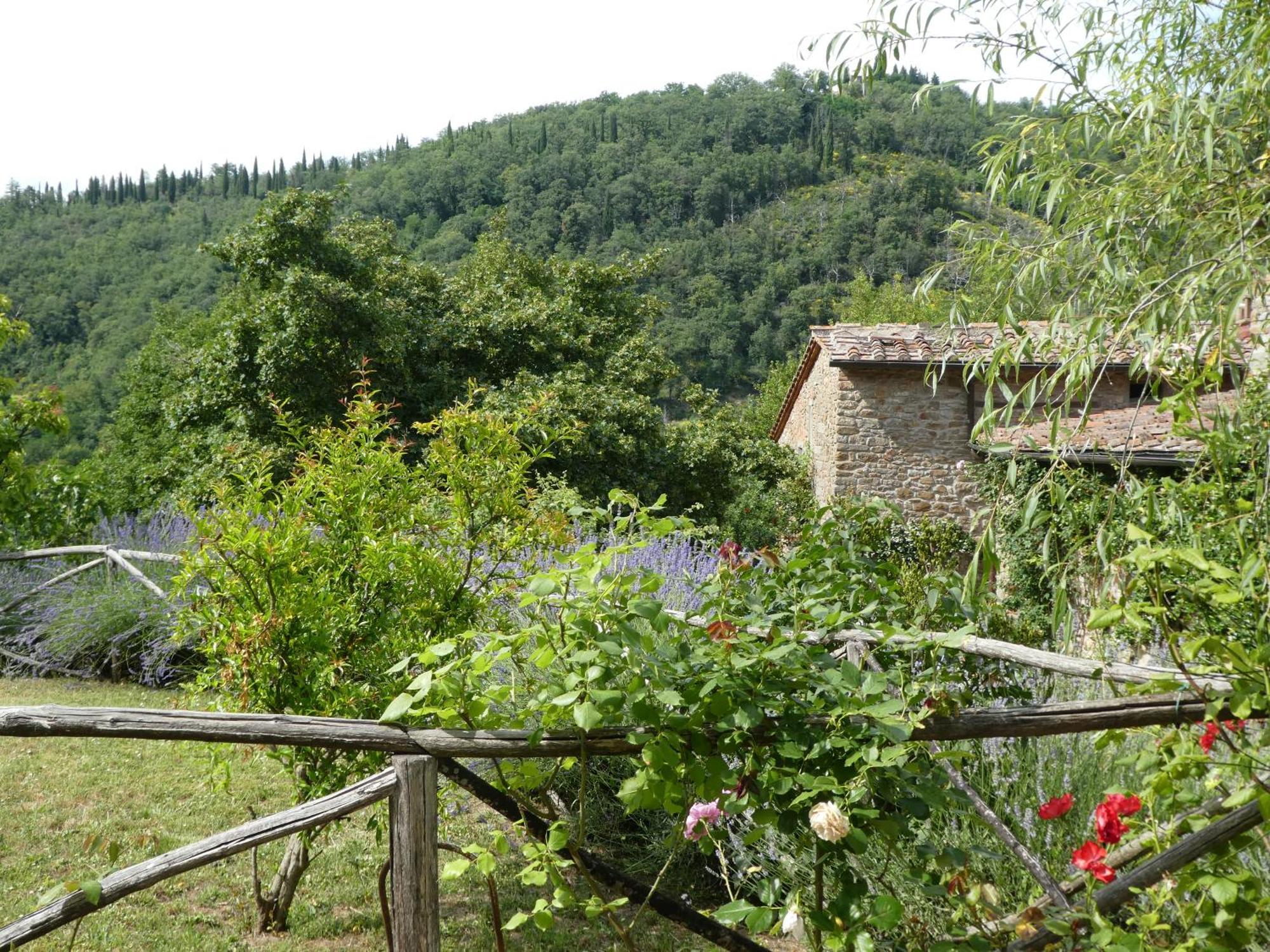 Il Capriolo Villa San Cerbone Exterior foto